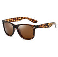 Classic Wayfarer Sunglasses for Men & Women
