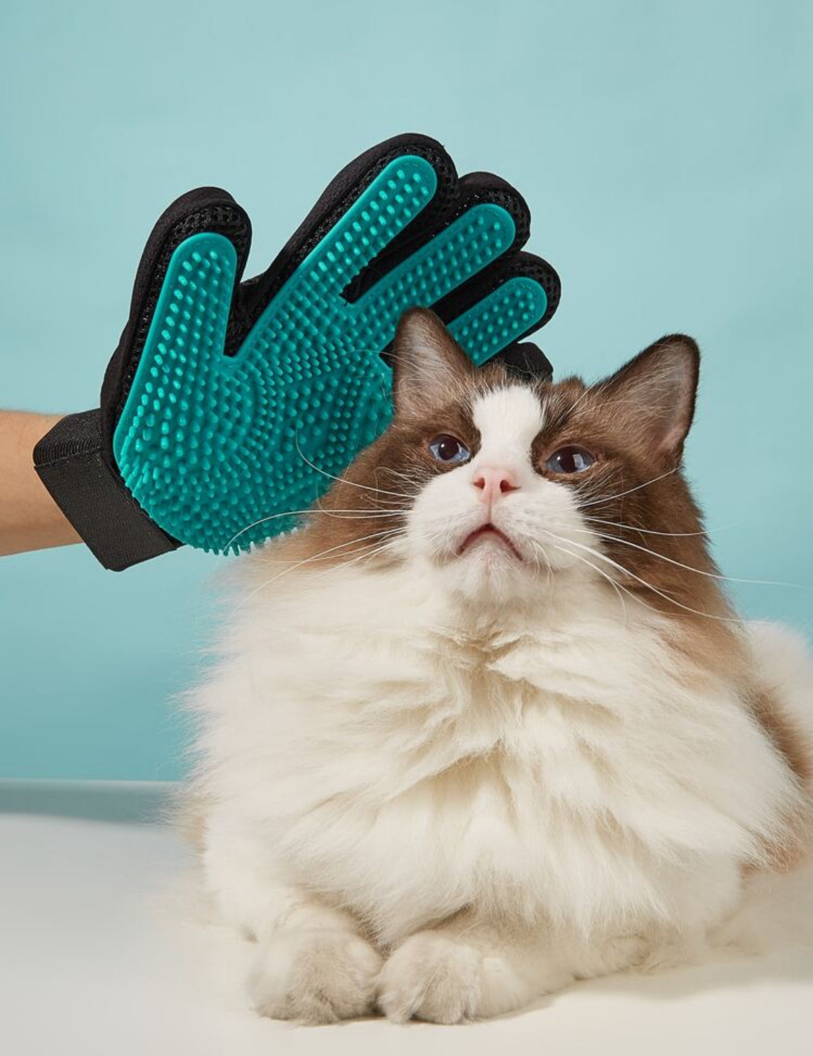 Pet Deshedding Glove – Cat & Dog Grooming